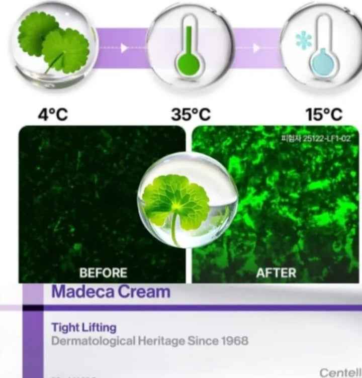 Centellian 24 Madeca Cream