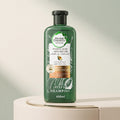 Herbal Essences Sulfate Free Potent Aloe Avocado Oil Curl Hydrating Shampoo and Conditioner, Multi-Color